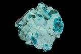Turquoise Blue, Botryoidal Chrysocolla - Congo #69793-2